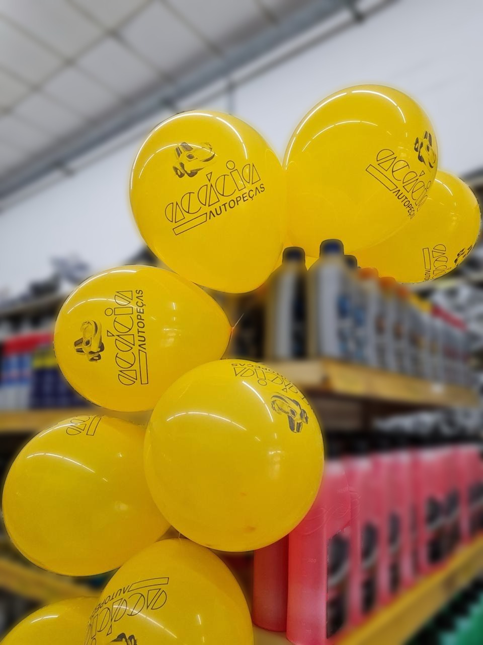 WhatsApp Image 2026-02-09 at 14.12.52 (1)